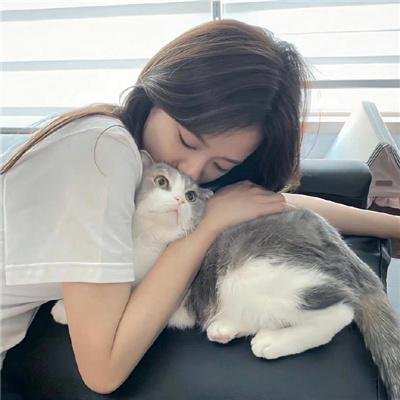 花好月又圆